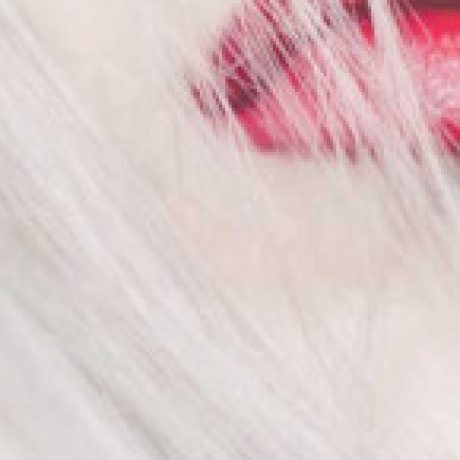 Profile picture of Nueva Pasion