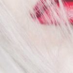 Profile picture of Nueva Pasion